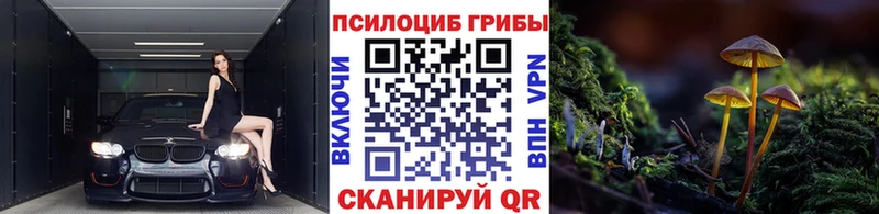 Галлюциногенные грибы прущие грибы Темников
